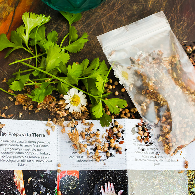 Pradera de Flores - SIEMBRA BLEND Pradera de Flores - SIEMBRA BLEND