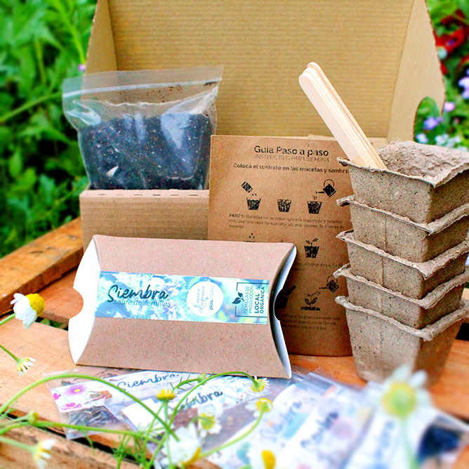 Germinación - SIEMBRA KIT Germinación - SIEMBRA KIT